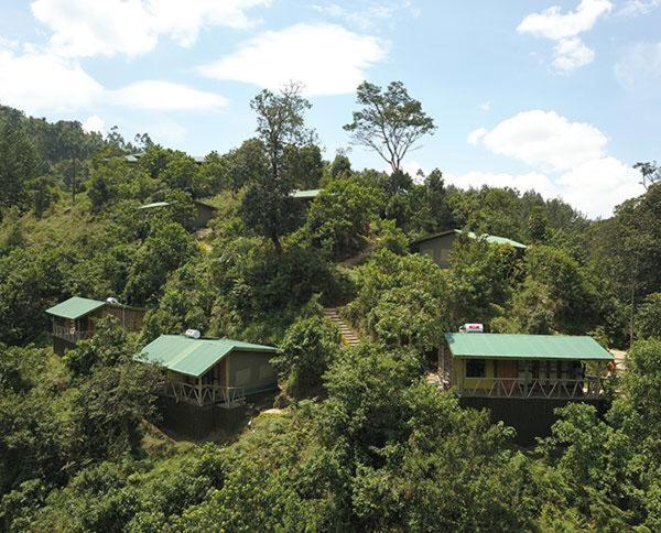 Gorilla Hills Eco-Lodge Kisoro Экстерьер фото