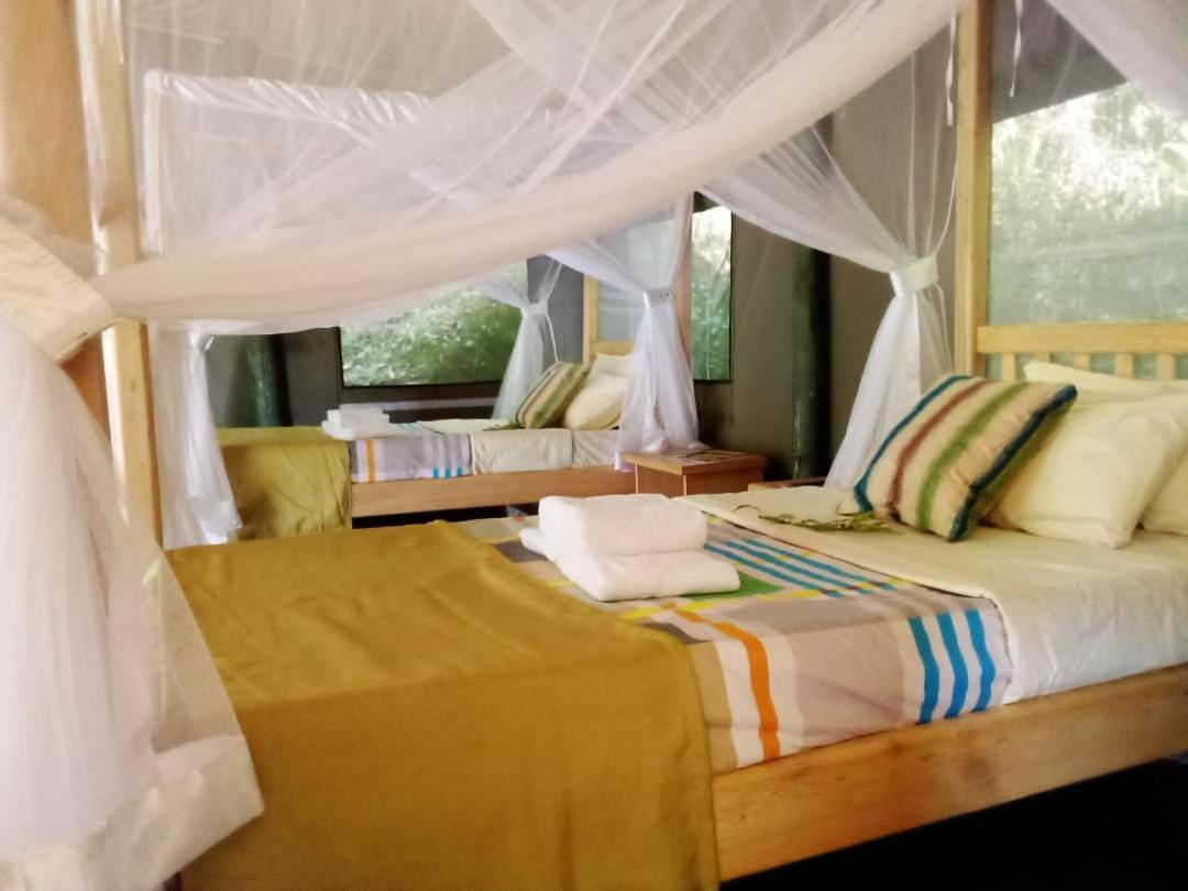 Gorilla Hills Eco-Lodge Kisoro Экстерьер фото